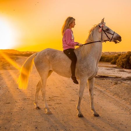 Pura Eco Retreat, Jubail Island Otel Abu Dabi Dış mekan fotoğraf