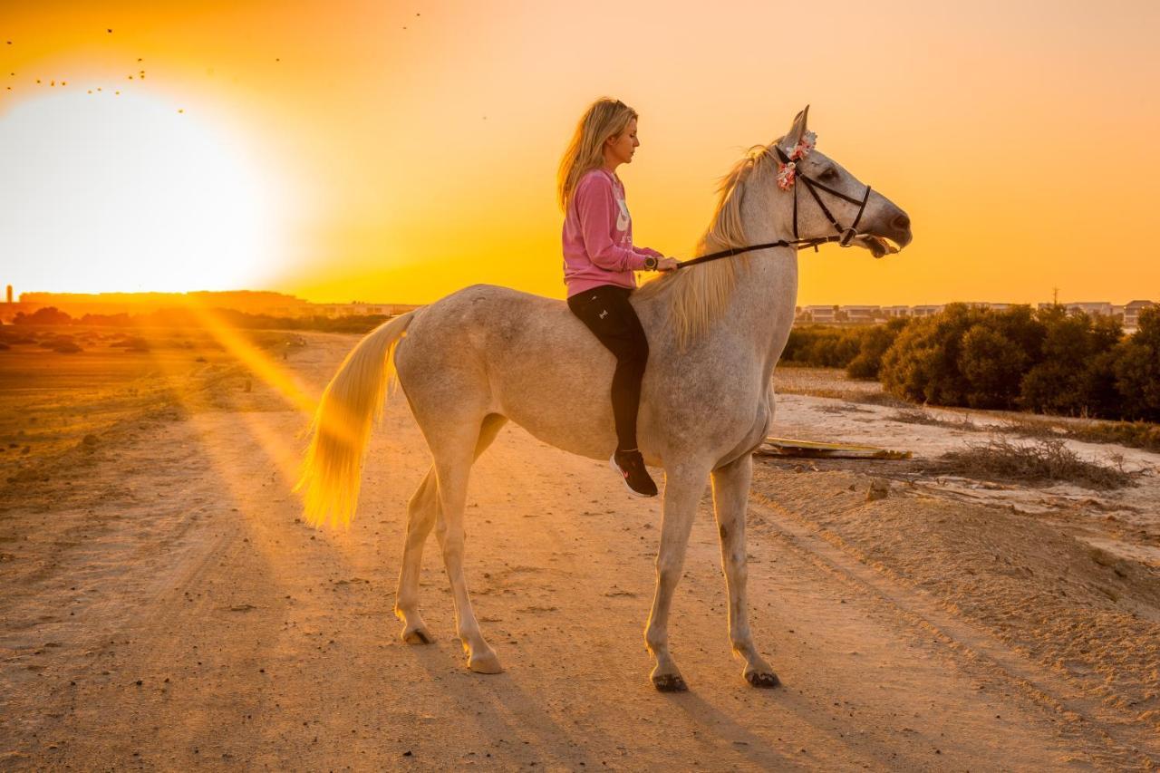 Pura Eco Retreat, Jubail Island Otel Abu Dabi Dış mekan fotoğraf